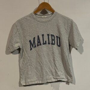 John galt brandy Melville Gray Malibu cropped T-Shirt